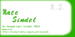 mate sindel business card